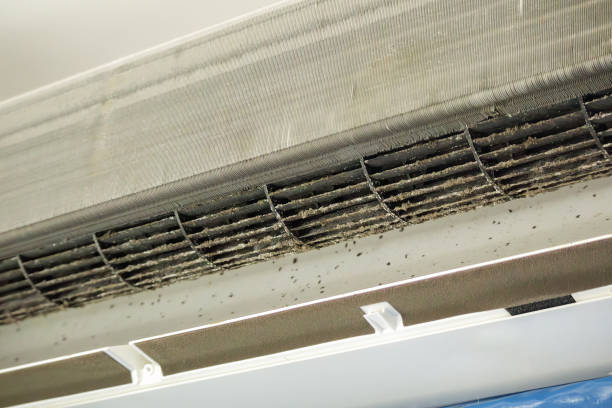 Best Home Air Vent Cleaning  in USA